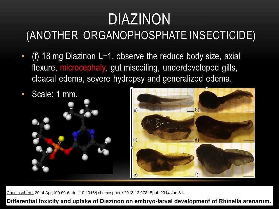 Naled & Dichlorvos: Risks and Remedies