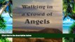 Big Deals  Walking in a Crowd of Angels, 2nd Edition  Free Full Read Best Seller
