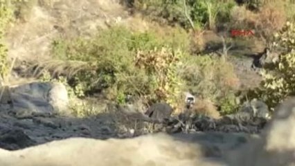 Silopi'de PKK'nın 10 Ton Bomba Yüklü Kamyonu İmha Edildi Ek