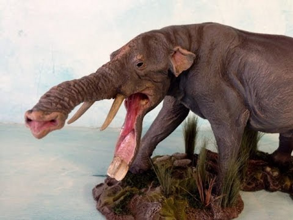 اغرب حيوانات فى العالم لن تصدق بوجدها