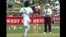 TOP 10 INSANE SWINGING YORKERS BOWLED BY WASIM AKRAM- DOUBLE SWINGS