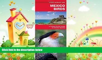 behold  Mexico Birds: A Folding Pocket Guide to Familiar Species (Pocket Naturalist Guide Series)
