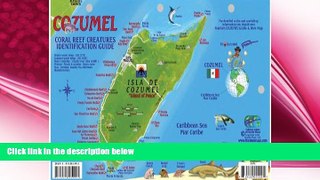 different   Cozumel Dive Map   Reef Creatures Guide Franko Maps Laminated Fish Card