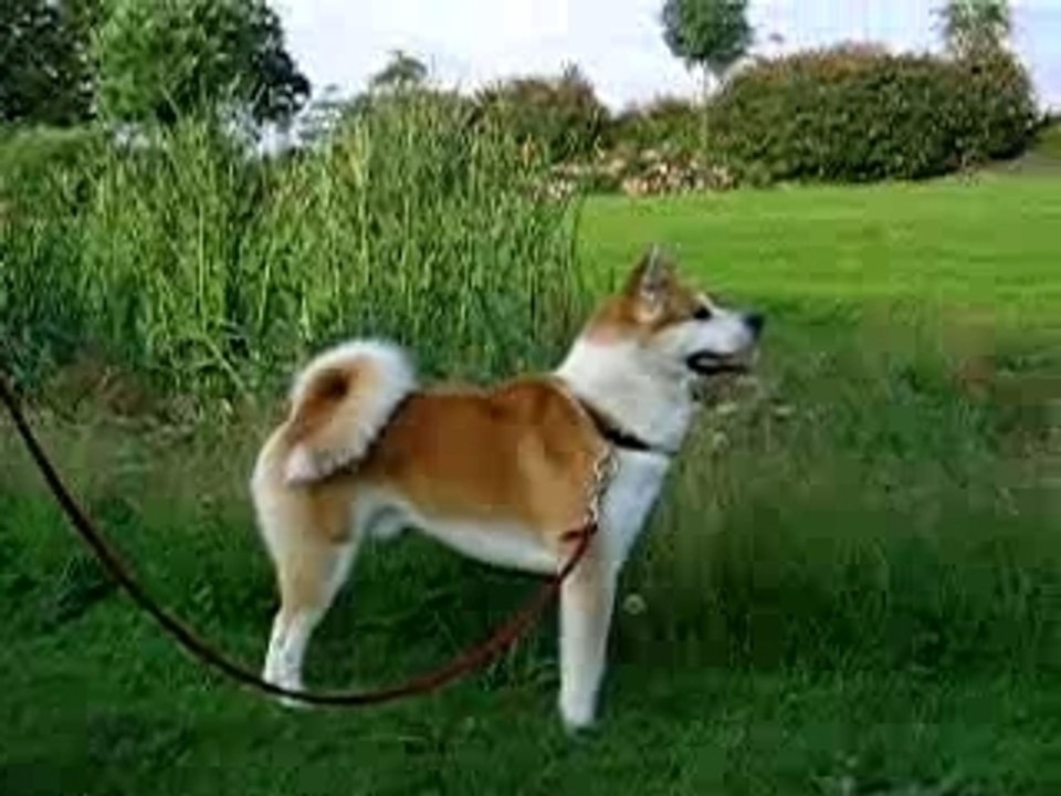 keiro en promenade 2