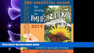 there is  The Essential Guide to Living in MÃ©rida, 2014: Tons of Visitor Information, Including
