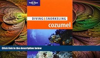 complete  Lonely Planet Diving   Snorkeling Cozumel (Lonely Planet Diving and Snorkeling Guides)