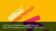 Jasa Pengiriman Barang Demak | 0855 7467 9897