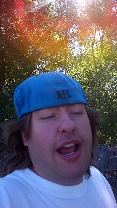 my day is going great! and showing geese