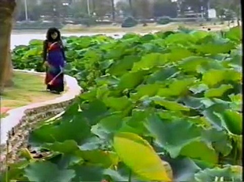 Rừng lá thay chưa (Huỳnh Anh) - Hương Lan