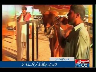 NewsONE Headlines 12AM, 10-Sep-2016