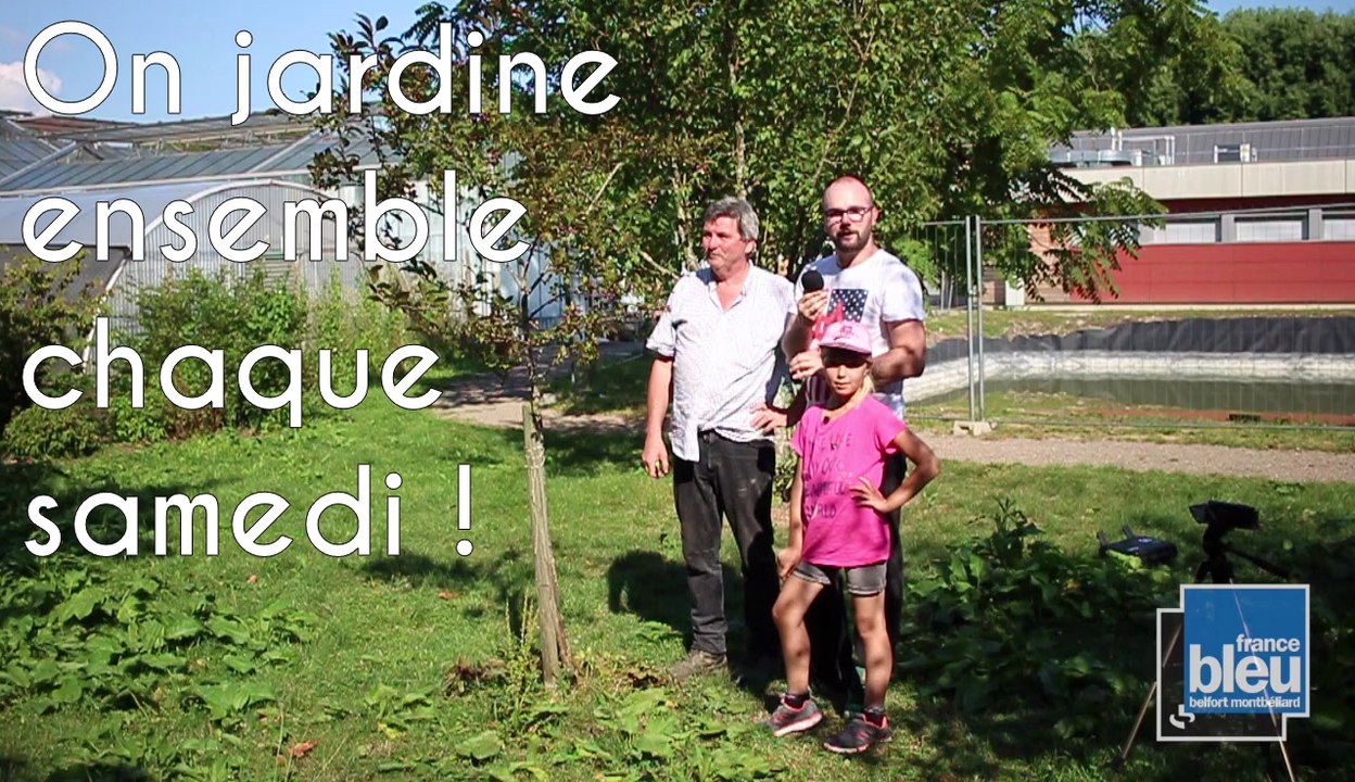 Experts Jardin - Tailler les arbres fruitiers