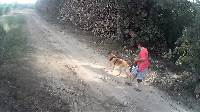 LOVELY petit parcours de recherche utilitaire