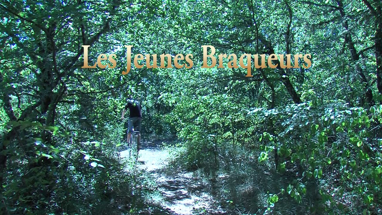 Les Jeunes Braqueurs