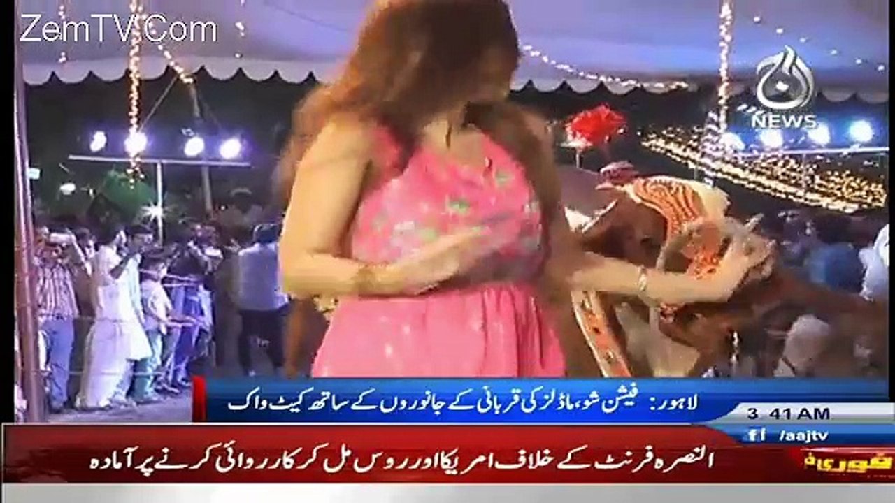 Eid al-Adha Ke Mouqe Per Lahore Bakra Mandi Main Kaisi Harkatein Ho Rahi Hain...