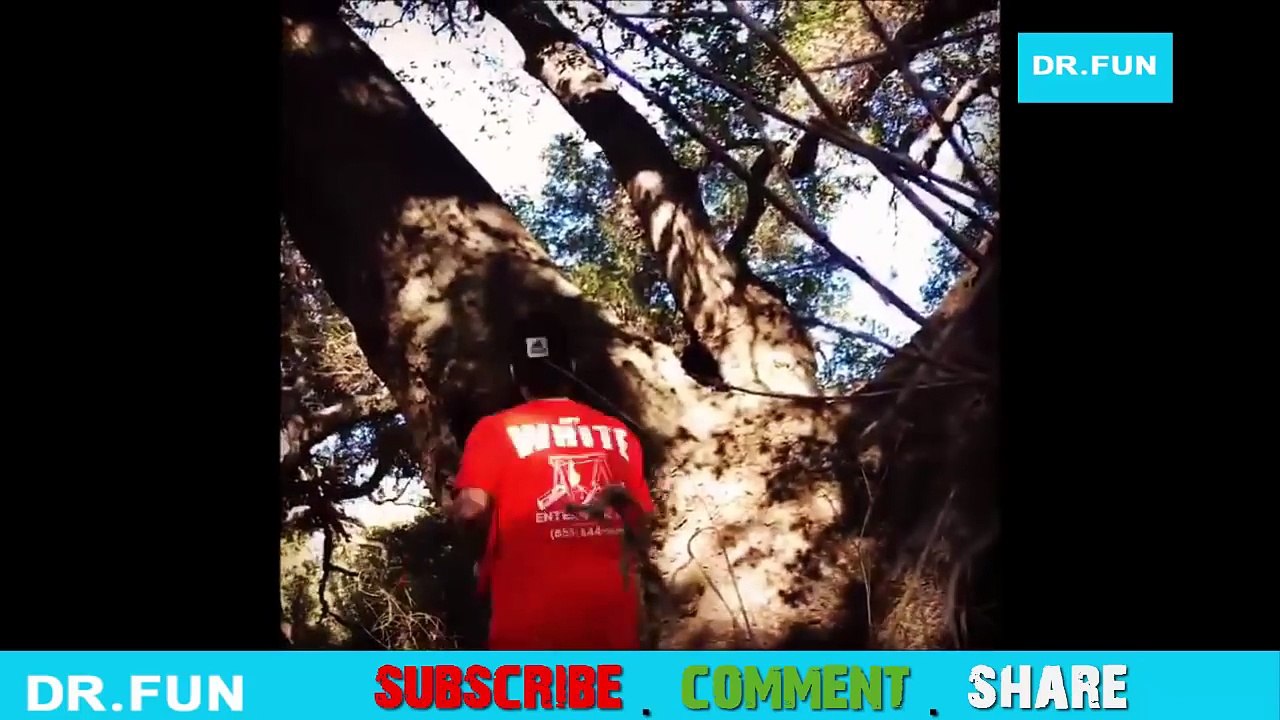 Justin Bieber Videos Instagram 2016 HD