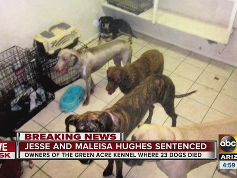 Stiff sentence sought in deaths of 23 dogs in Gilbert