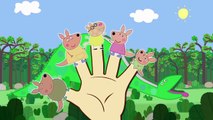 Pepa Pig Kangaroo Finger Family Nursery Rhymes Lyrics and More