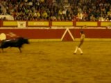 Corrida Portugaise