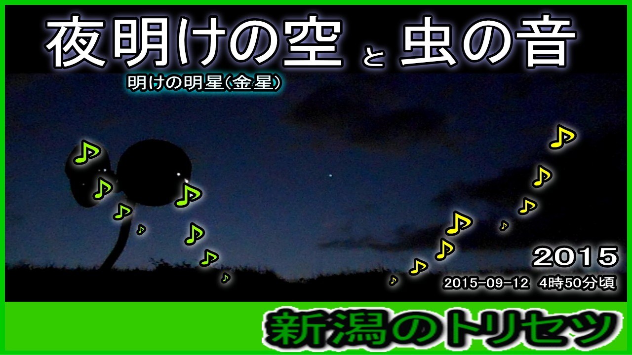 夜明けの空と虫の音 The sky of the daybreak (With sound of the insect)