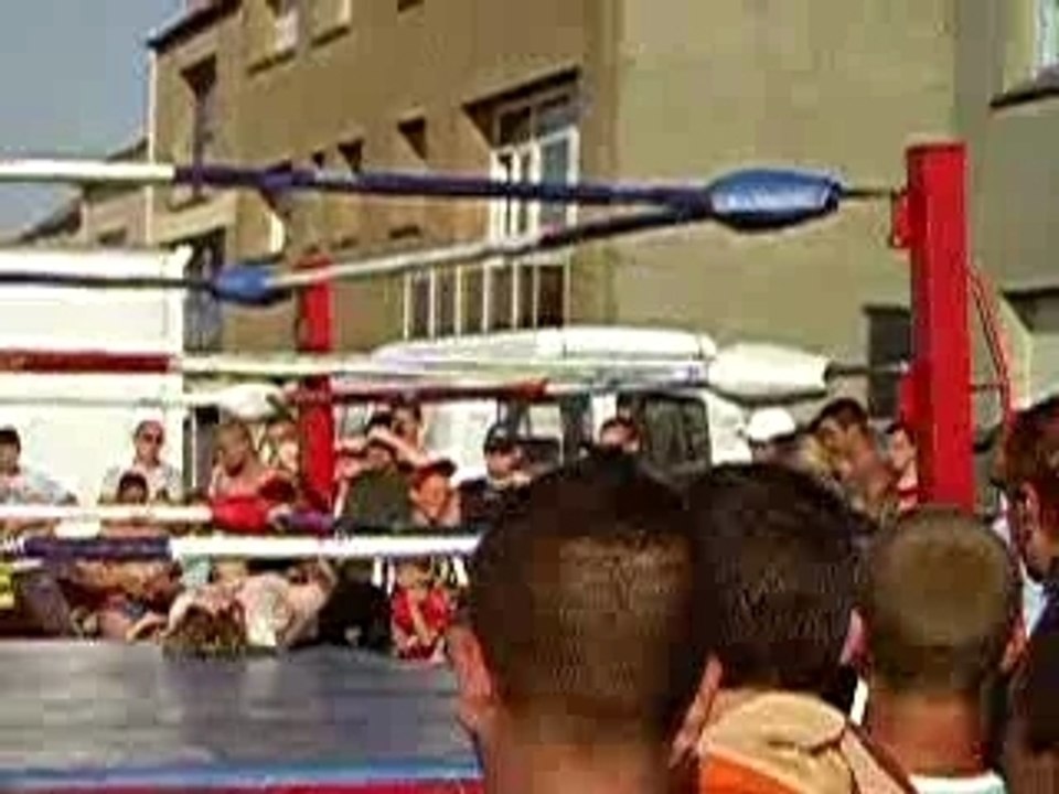 wrestling stars