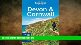 Free [PDF] Downlaod  Lonely Planet Devon   Cornwall (Travel Guide) READ ONLINE