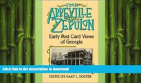 READ  From Abbeville to Zebulon: Early Postcard Views of Georgia FULL ONLINE