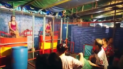 Funny Video - Bad dog #34