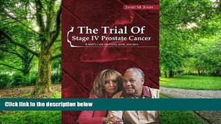 Big Deals  The Trial of Stage IV Prostate Cancer:  A Wife s Case For Faith, Hope, And Help  Best