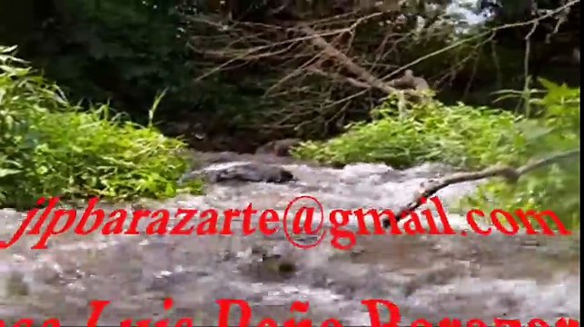 Examiname Oh Dios! - Milagros Fajardo