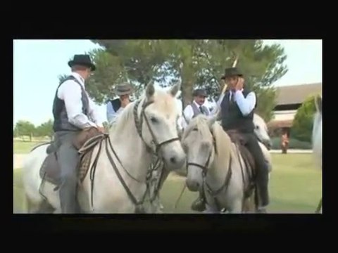 Groupe Gipsy | Rumba | flamenca | Camargue | Franky Joé Texier