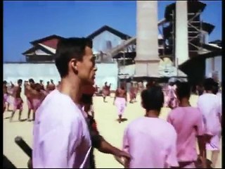 Alan Mehrez watch Bloodsport 2 Trailer