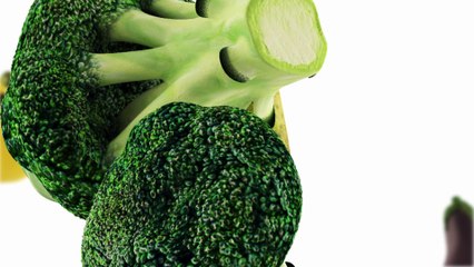 Générique 2016 de la terre à la fourchette