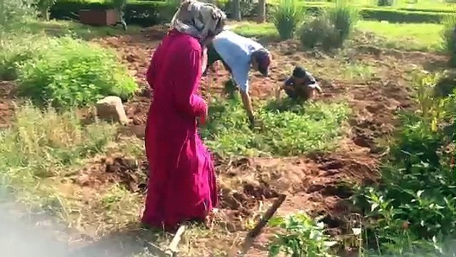 Activité jardinage, désherbage pour préparer le terrain