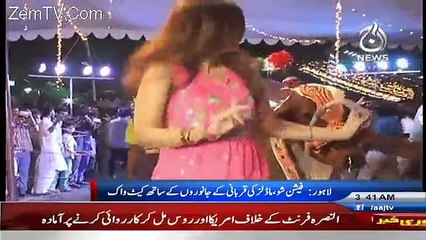 Eid al-Adha Ke Mouqe Per Lahore Bakra Mandi Main Kaisi Harkatein Ho Rahi Hain…