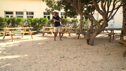 Voile - Coupe de l'America : quand Cammas se (re)met à la pétanque...