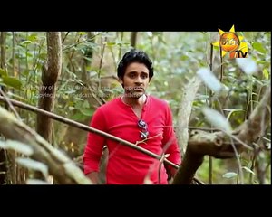 Hiru TV Wassane Premaya EP 333  2016-09-08