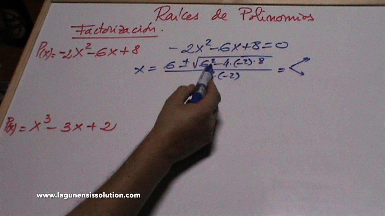 15.RAICES DE POLINIMIOS