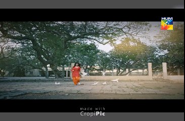 Bin Roye Drama Promo 1 hum tv drama