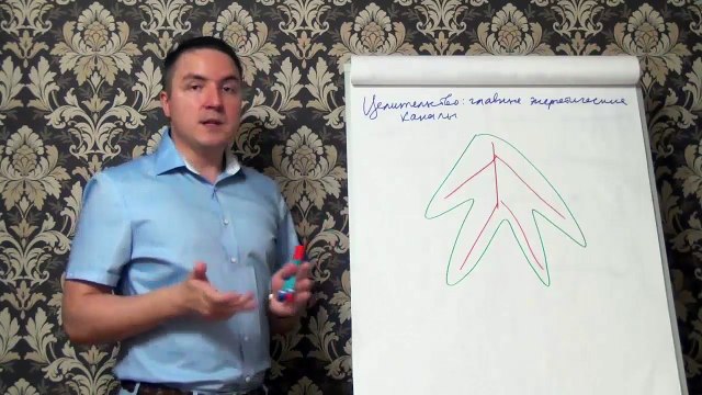 Евгений Грин — Целительство — главные энергетические каналы
