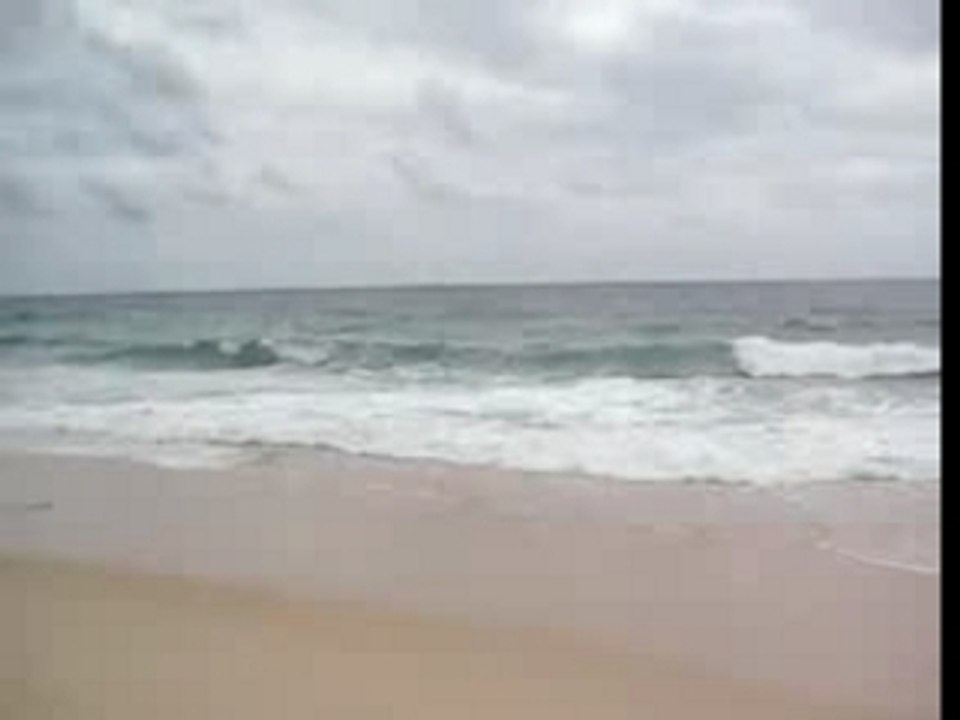 tsunami de la mort