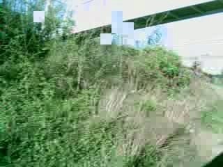 ARRIVéE EN GARE DE CHELLES