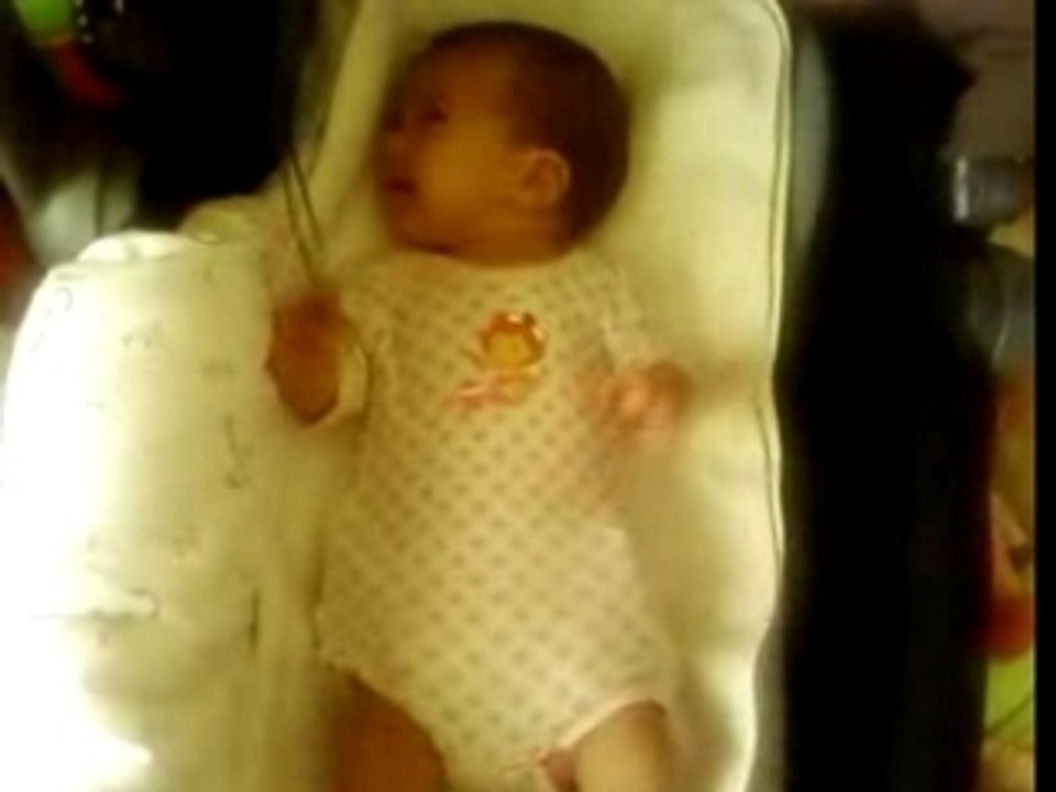 Liee qui essai d'attraper son bola