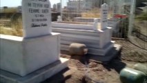 Diyarbakır Ak Partili Mehdi Eker'in Aile Mezarlığında 640 Kilo Patlayıcı Bulundu 2-