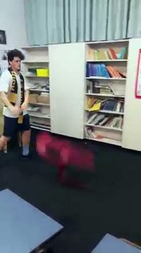 Teenagers Throwing Chairs
