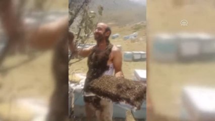 Arılarla Guinness'e Girmek İstiyor