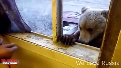 Russian Fail Compilation 2016 Vol. 6