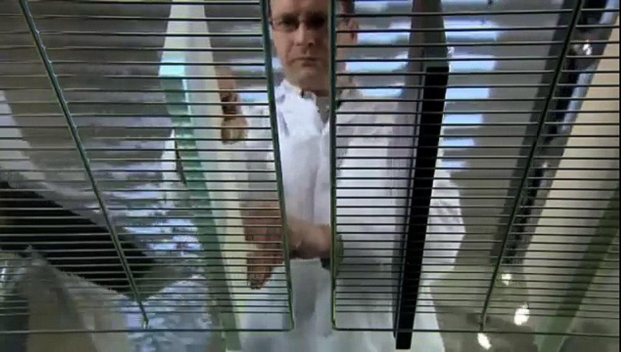 12. Ihr Küchen Partner Essen sehr gute Qualität gegen Feuchte , www.küchen-partner-essen.de