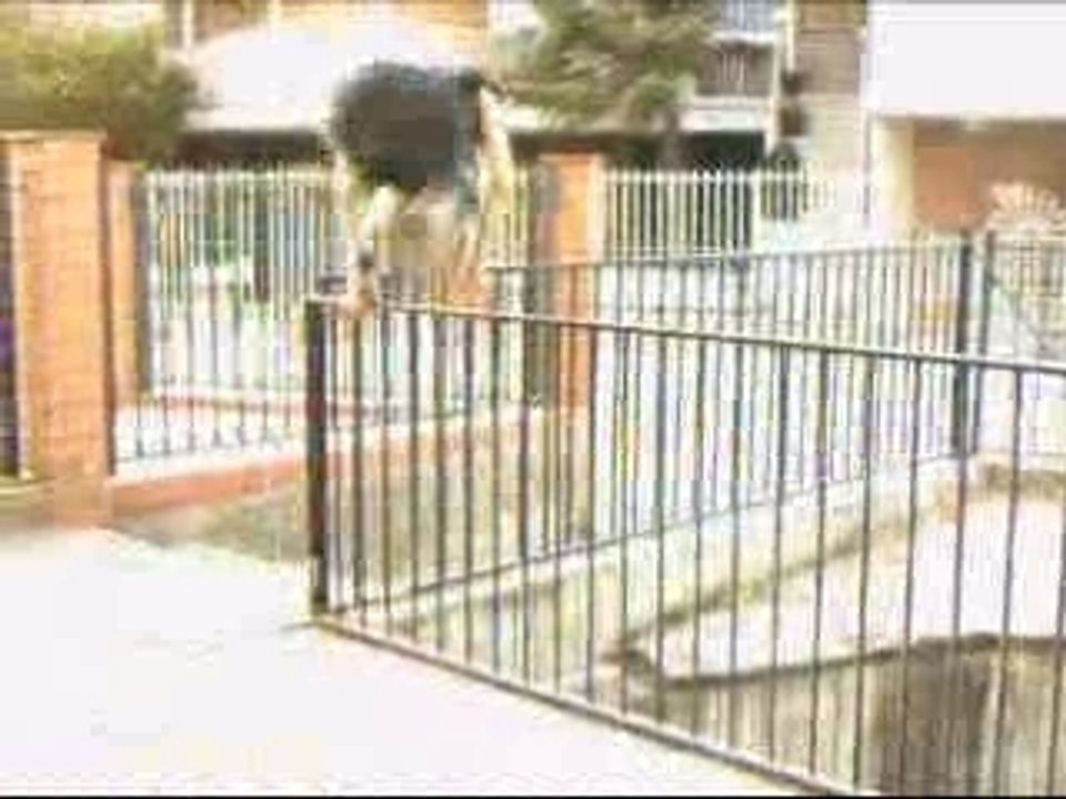Carlos sampler 2007 dailymotion