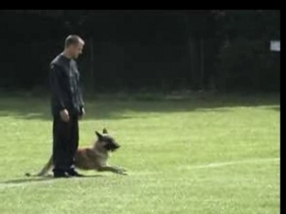 Concour Ring Cahors 2007