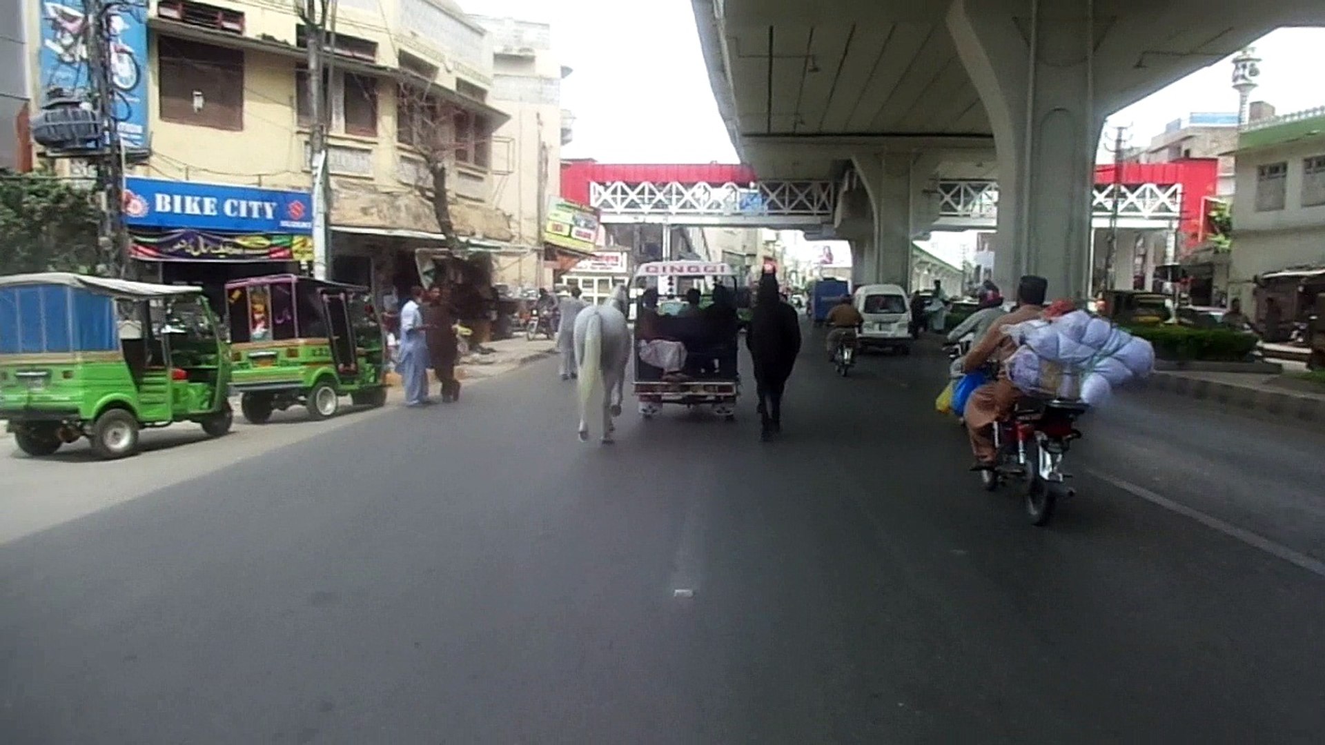 ⁣After ban Long time peoples seeing Horse running on muree road Rawalpindi Reporting by PCCNN Chaudhr